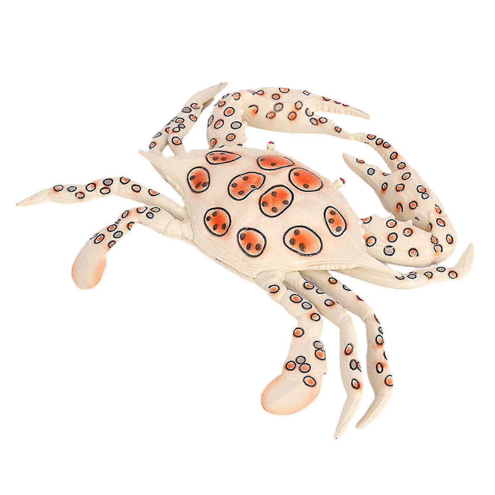 Simulation Crab Creative Decorative Plastic Huge Animal Model Ocean Sea Ornaments Cognitive Training Aid