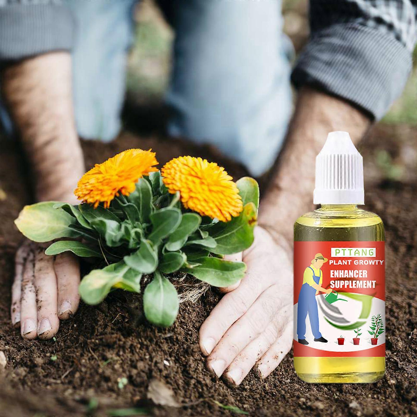 50ml Rooting Hormone - Promotes Root Growth in Seedlings & Potted ...