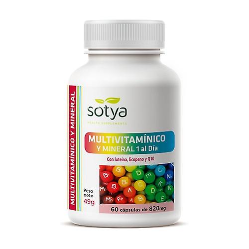 Multivitamin and mineral 1 a day 60 capsules