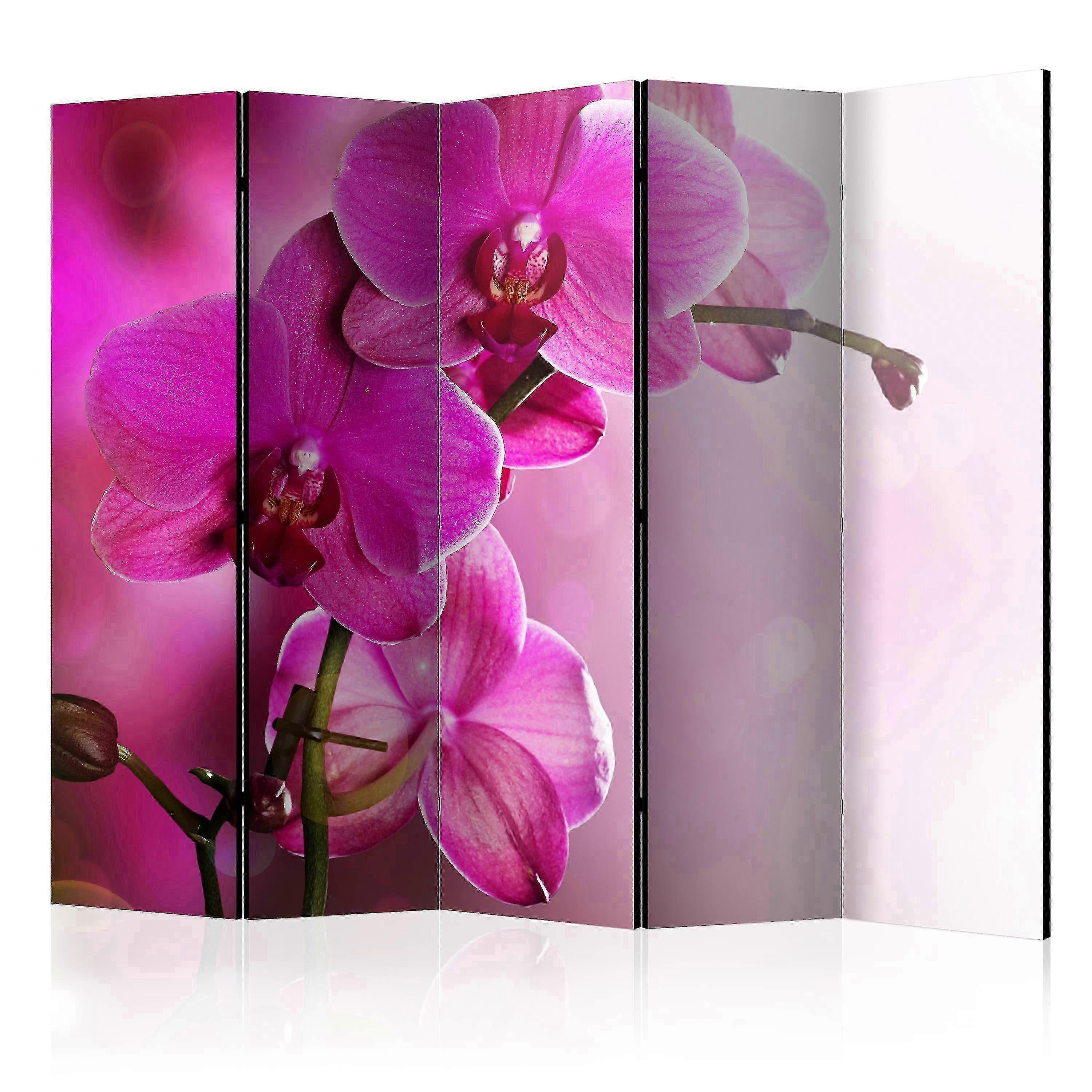Room Divider - Pink orchid II