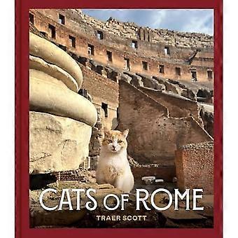 Katzen von Rom