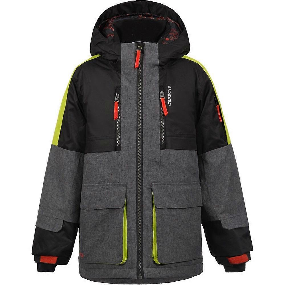 Jackets Icepeak Landrum 650037585I