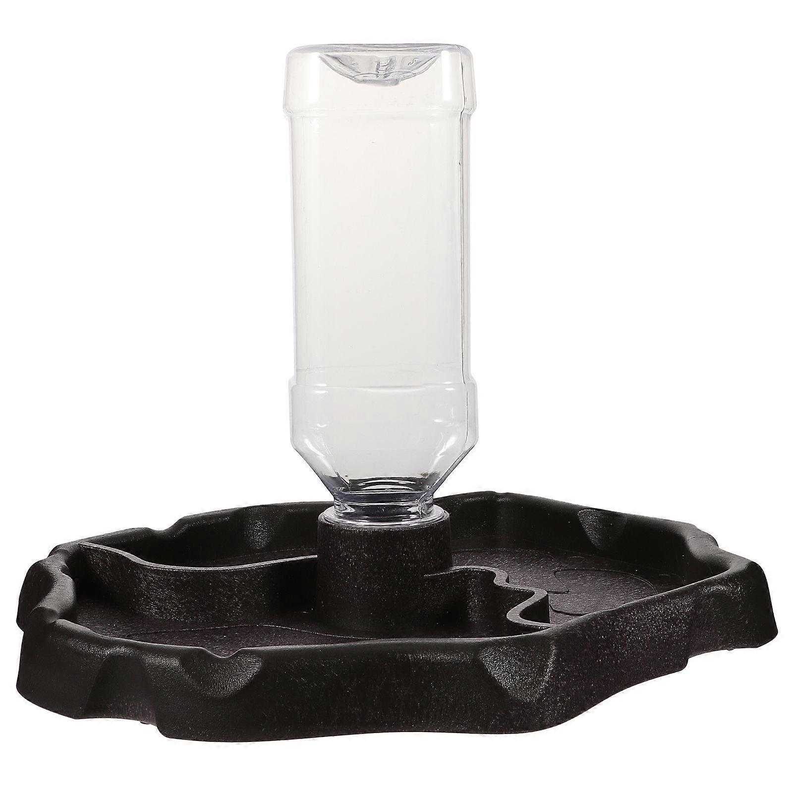 1pc Small Pet Feeding Bowl Drinking Foods Feeder Container for Lizard Turtle Reptile (Coffee)