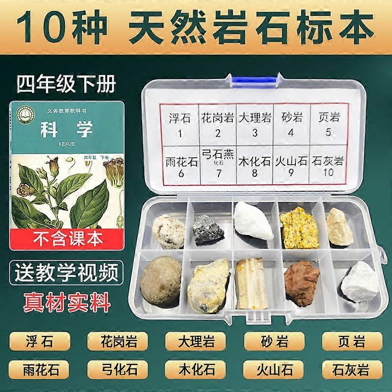1 Set Kids Geology Kit With Rock Specimens Educational Rock And Mineral Collection For Classroom Scientists Home Learning Includes Granite Limestone F