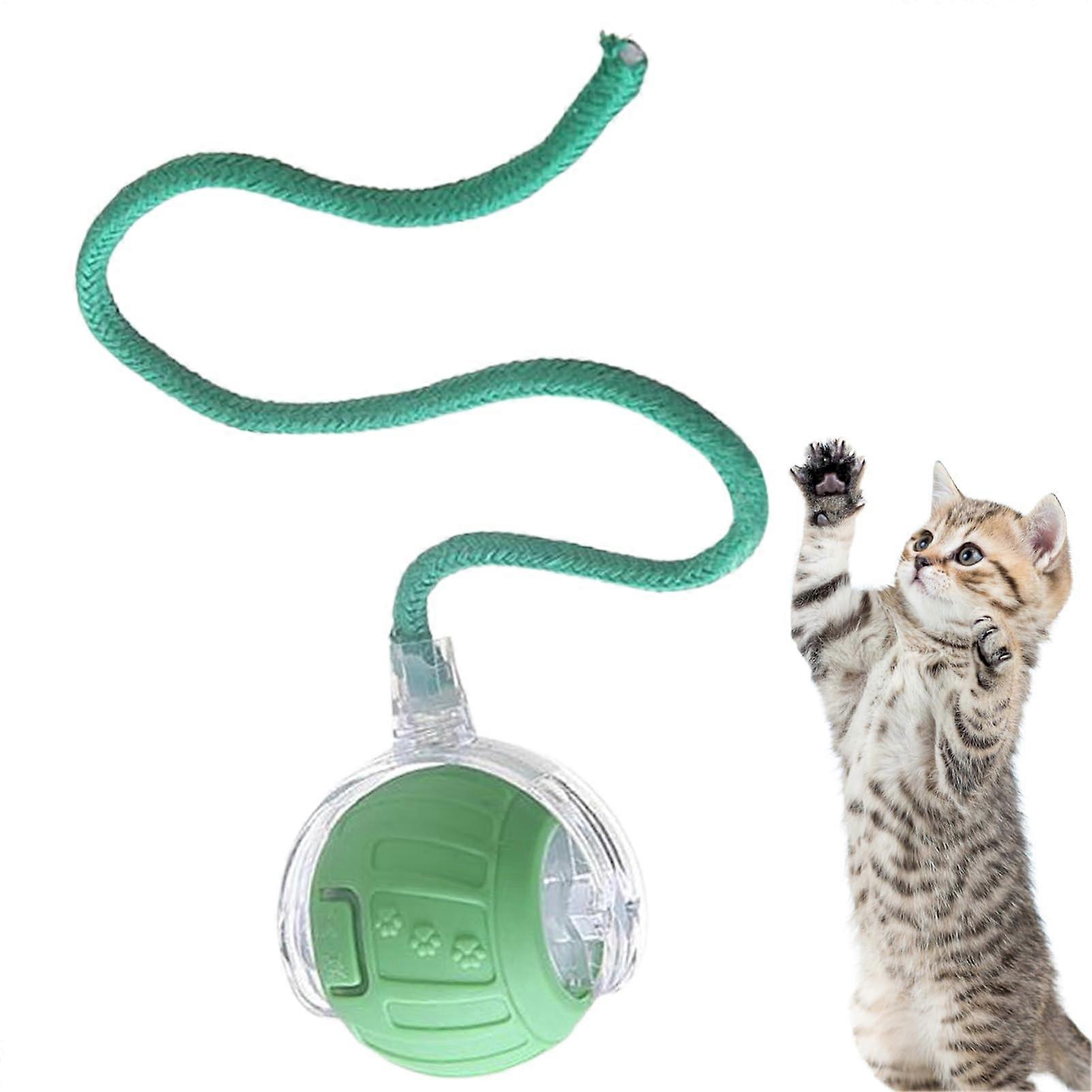 Electric Cat Ball, Automatic Rolling Toy, Rechargeable Motion Ball with Tail Rope, Interactive Pet Trainer for Cats