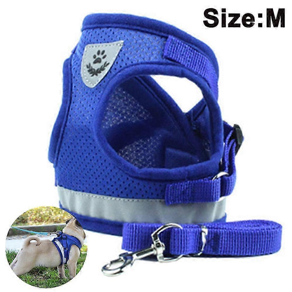 Reflective Adjustable Dog Harness & Leash Set, Soft Mesh Padded for Walking, Running - Blue
