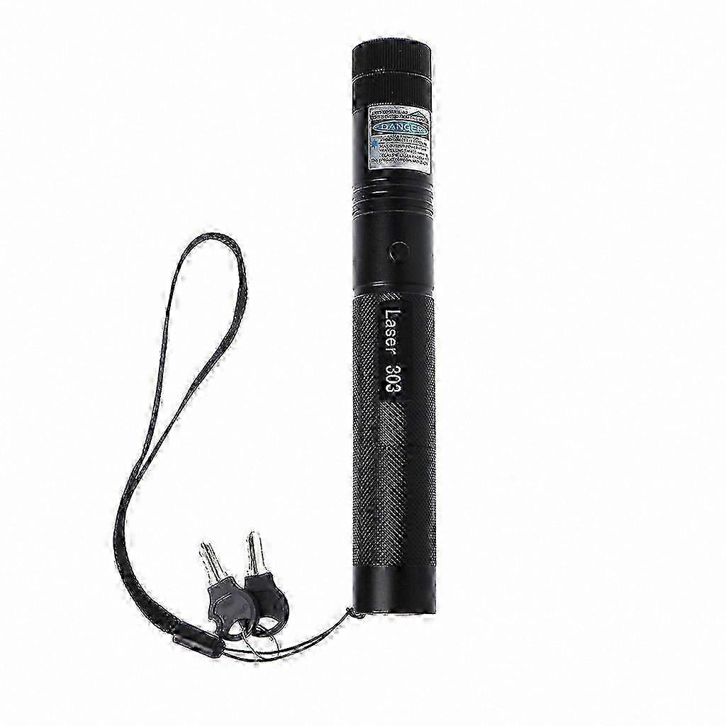High-Powered 532nm Red/Purple Laser Pointer Pen 5mW Device for Professional Use
