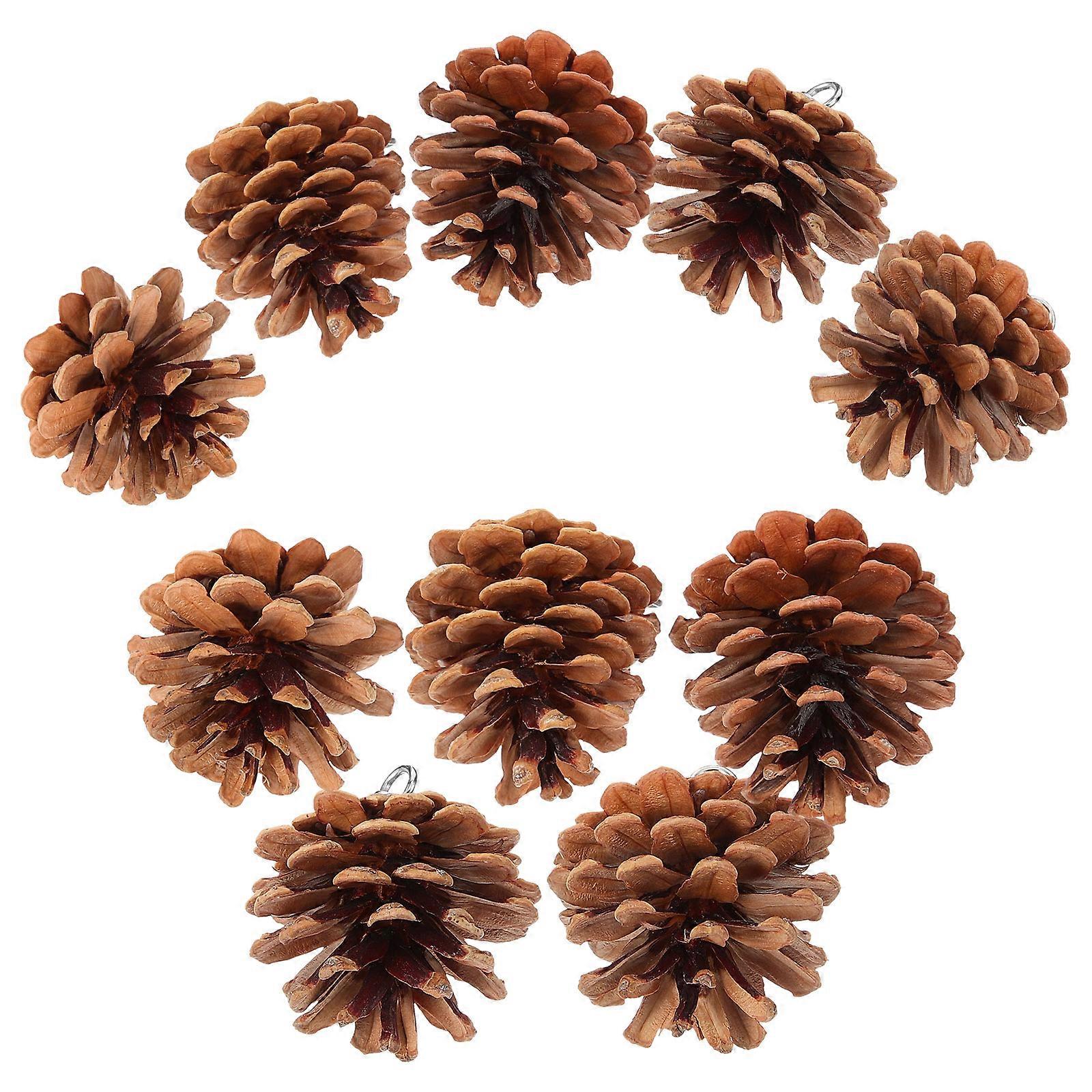 Brown Bird Chewing Toy Pine Cone Foraging Plaything 20Pcs