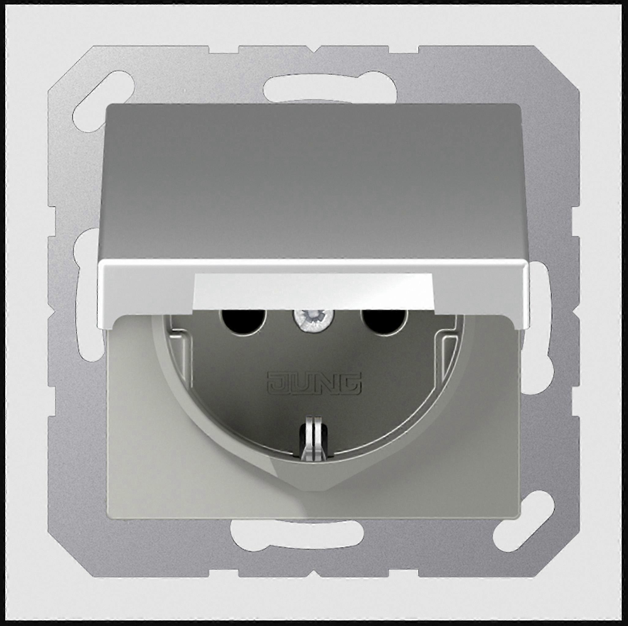 Aluminum SCHUKO Socket with Flip Cover A 1520 BFKL AL