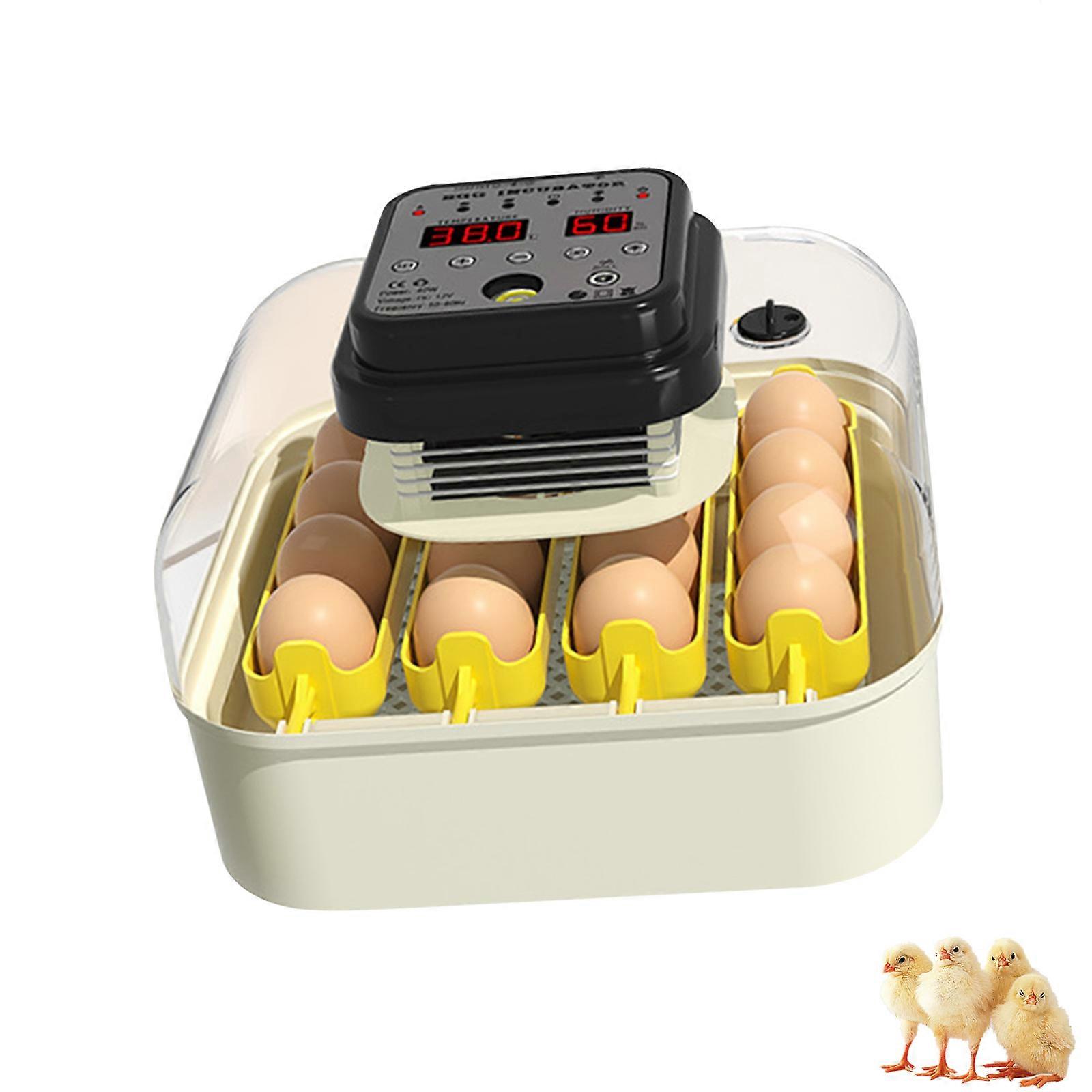 Quiet Fan Structure Oocyte Incubator Advanced Thermoregulation Technology Clear Lid for Monitoring Hatching Progress Multicolor