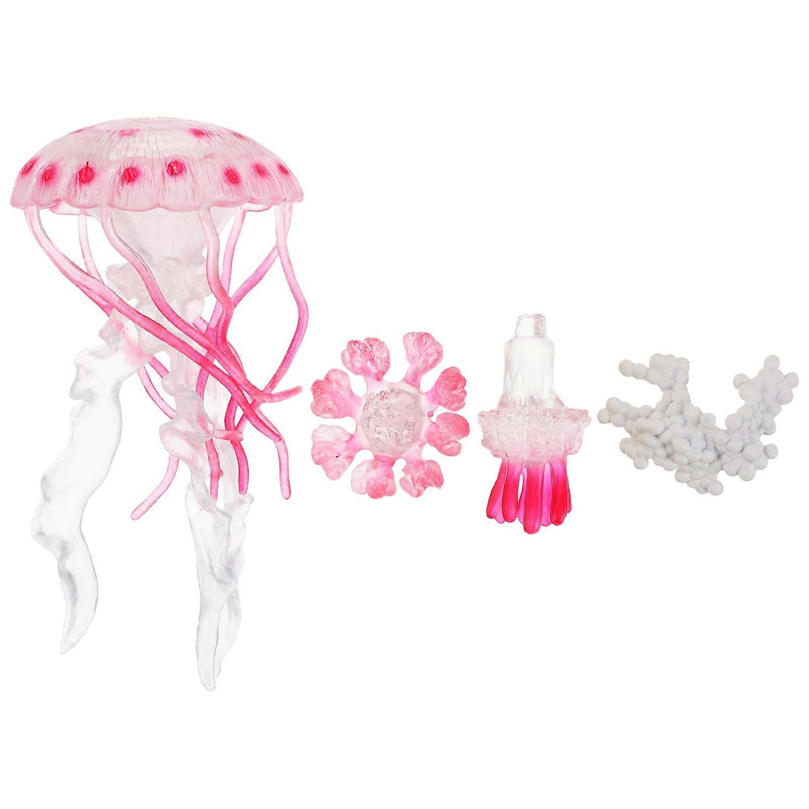 Water Jellyfish Life Cycle Toy Set for Cognitive Learning and Science Kit