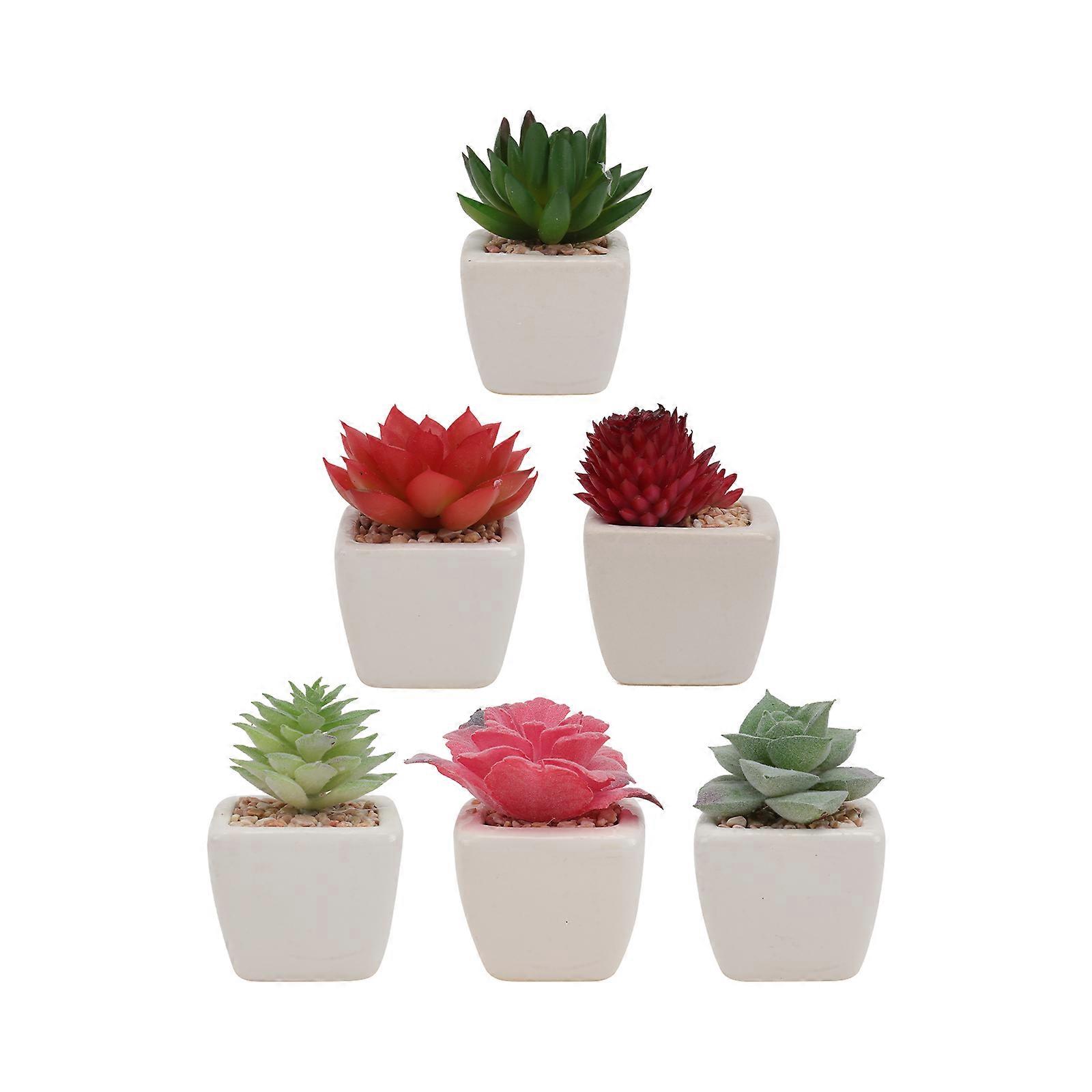 Artificial Succulent Plants Decorative Plants for Office