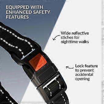 Reflective Martingale Dog Collar