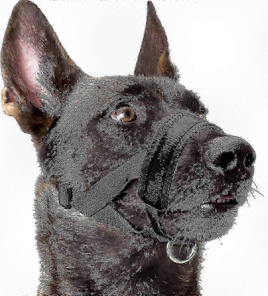 Breathable Adjustable Dog Muzzle