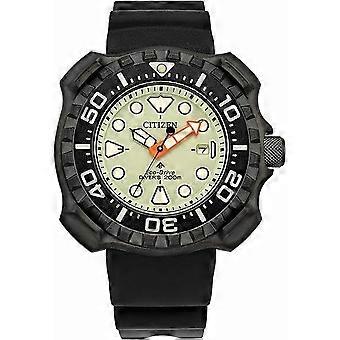 Herenhorloge Citizen BN0227-25X