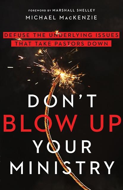 Dont Blow Up Your Ministry  Defuse The Underlying Issues That Take Pastors Down by Marshall Shelley Paperback
