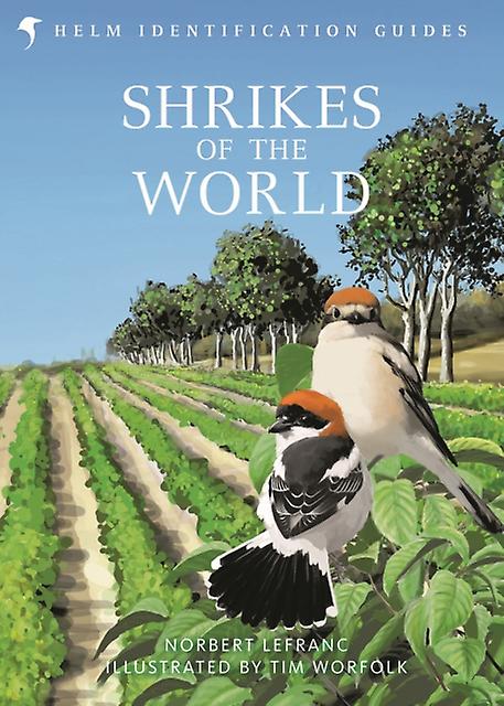 Shrikes Of The World by Norbert Lefranc Hardback Book