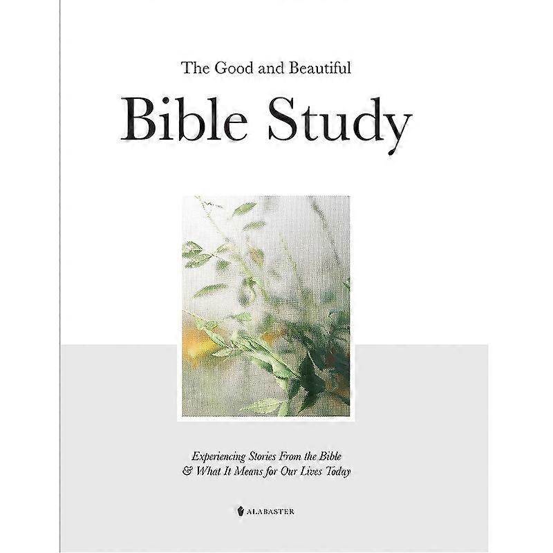 The Good And Beautiful Bible Study: Experiencing Stories From What It Means For Our Lives Today