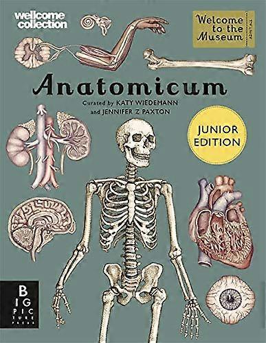 Anatomicum Junior