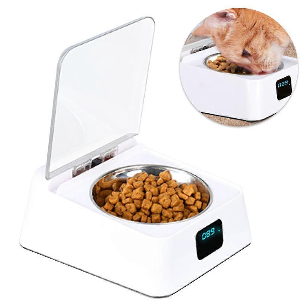 Smart Cat Feeder: The Ultimate Solution for Pet Hospitals &amp; Stores