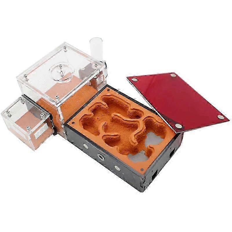 Eco-Friendly Ant Farm with Drinking Bowl, Acrylic Ant Nest, Concrete Feeding Area, Insect House Workshop