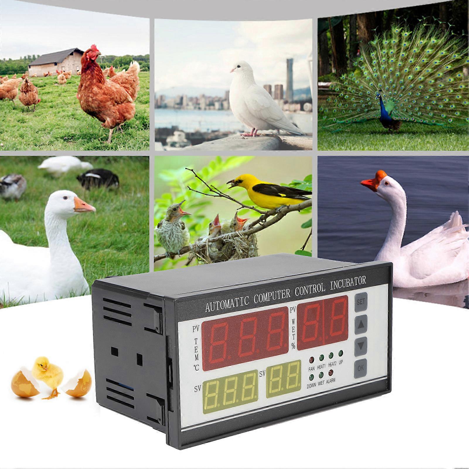 Incubator Thermostat Controller 16x9x8cm High Accuracy Egg Turn