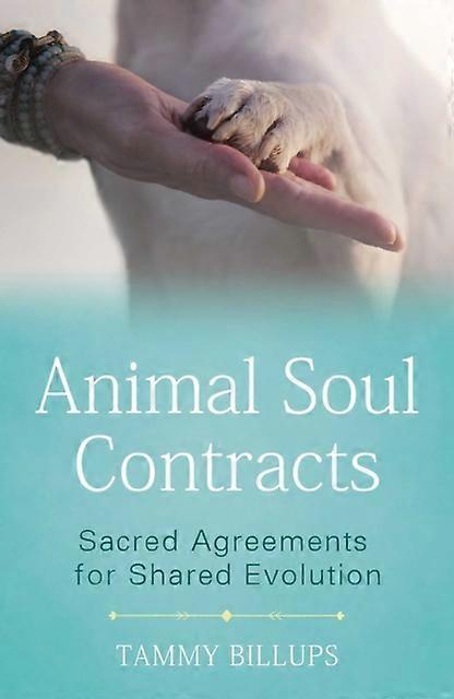 Animal Soul Contracts by Tammy Billups Paperback