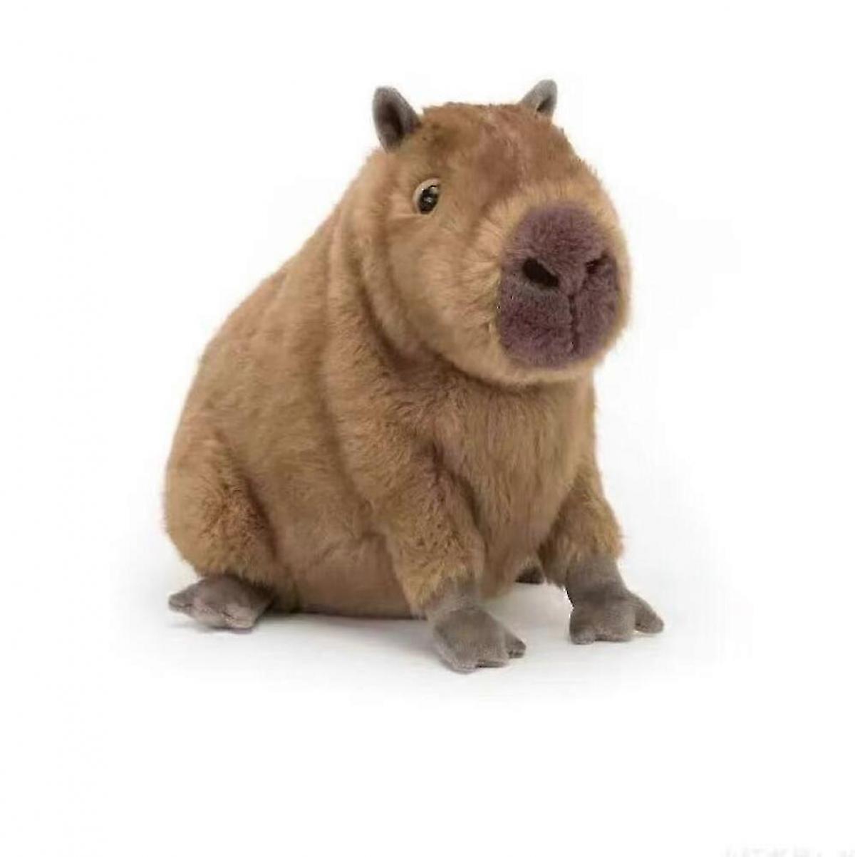 Capybara Plüschtier für Kinder, 40cm