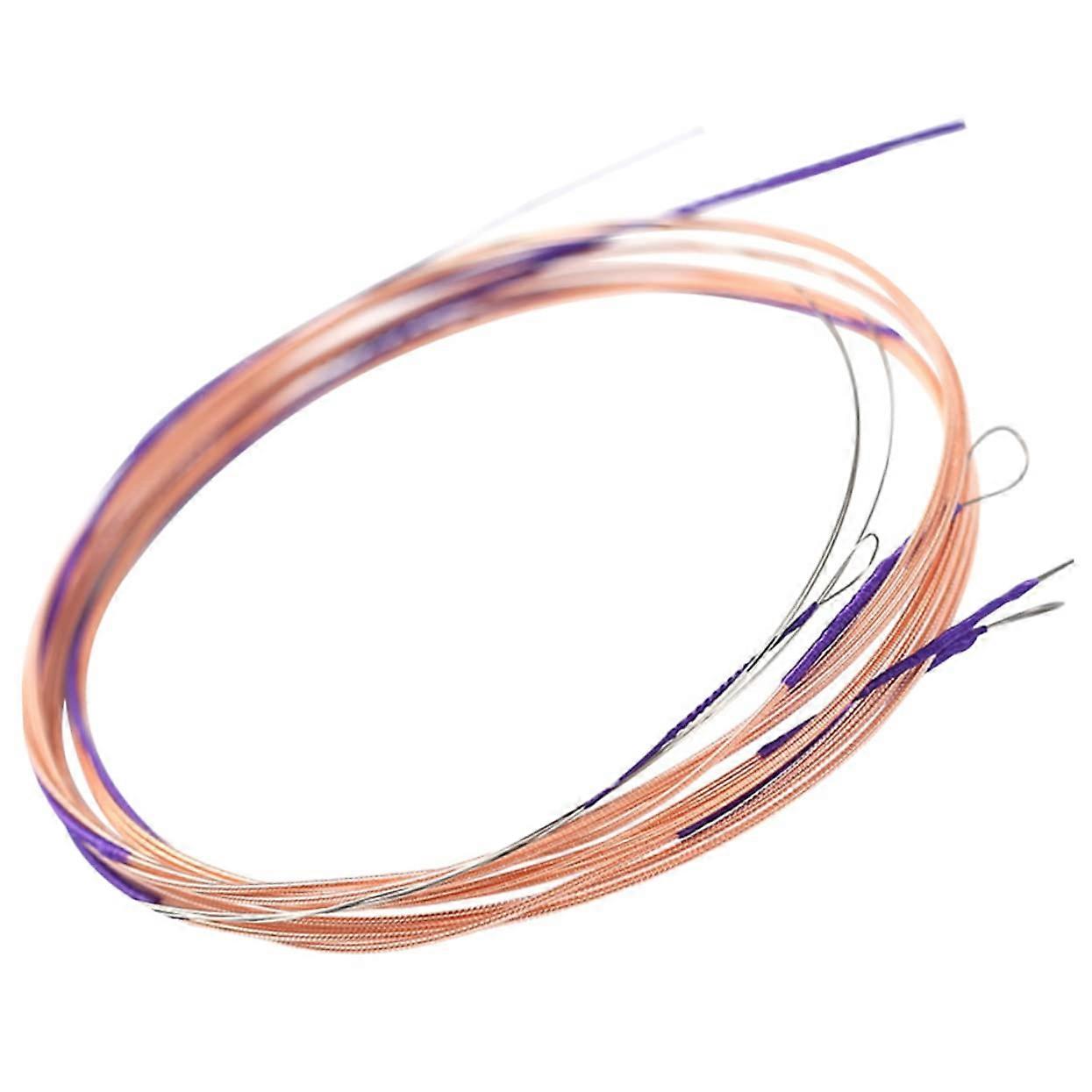 LongLasting Steel Chinese Pipa Strings Set for Practice and Performance, Durable Lute Replacement Strings