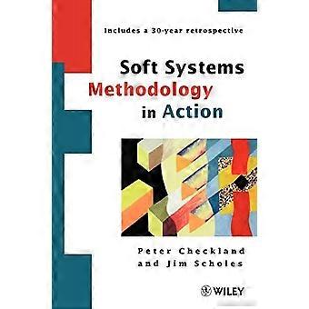 Metodologia dei sistemi soft in azione