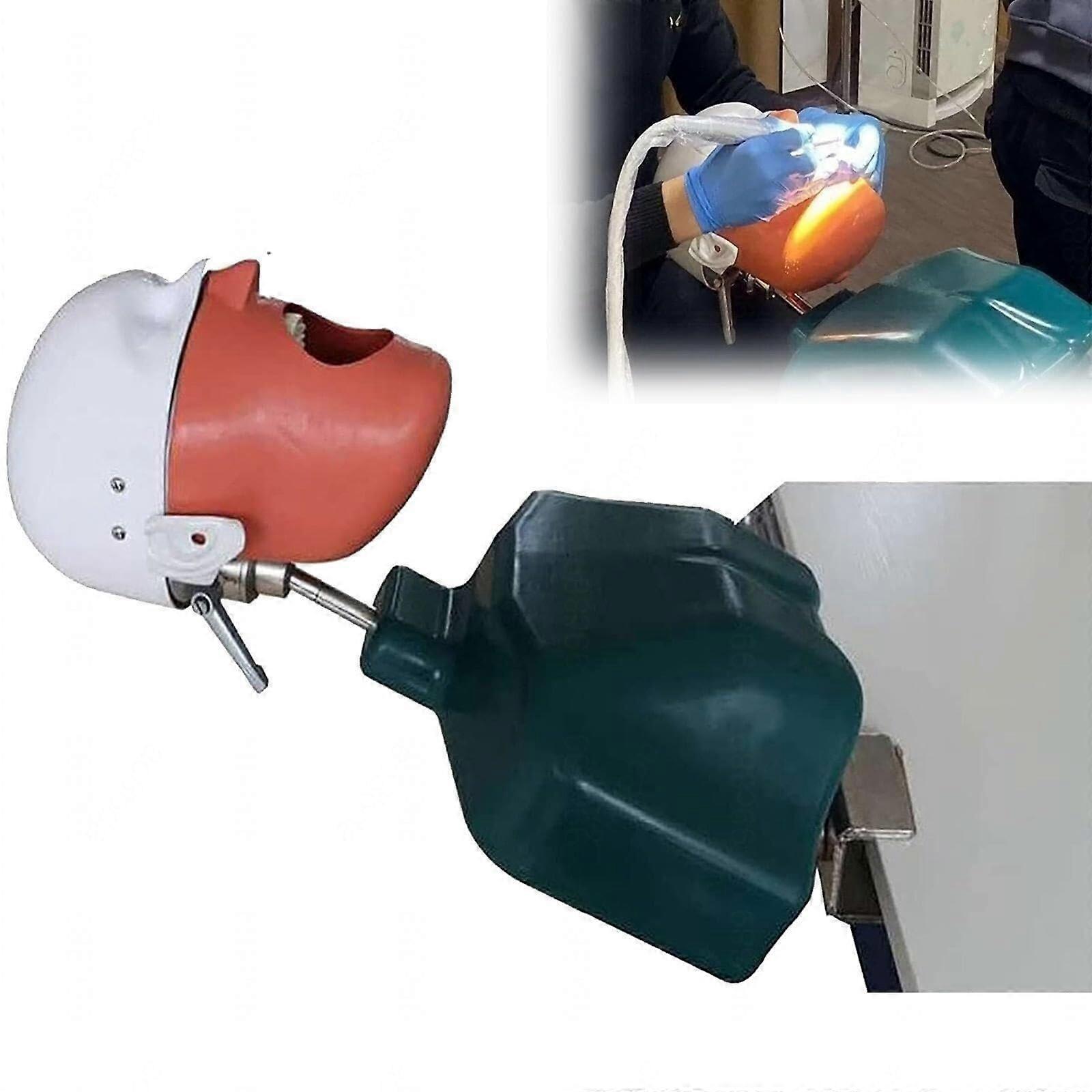 Dental Training Manikin with Torso, Adjustable Phantom Head and Removable Teeth for Practice