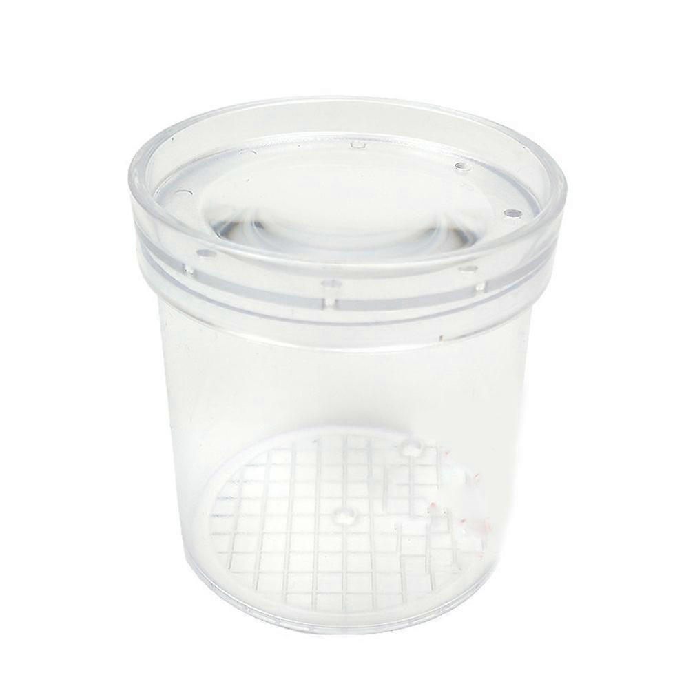 Magnifying Bug Viewer Box for Kid's Insect Observation