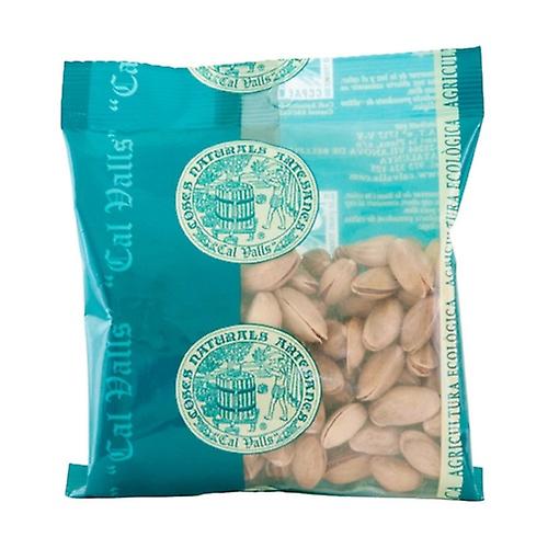 Organic Roasted Pistachios 100 g (Pistachio)