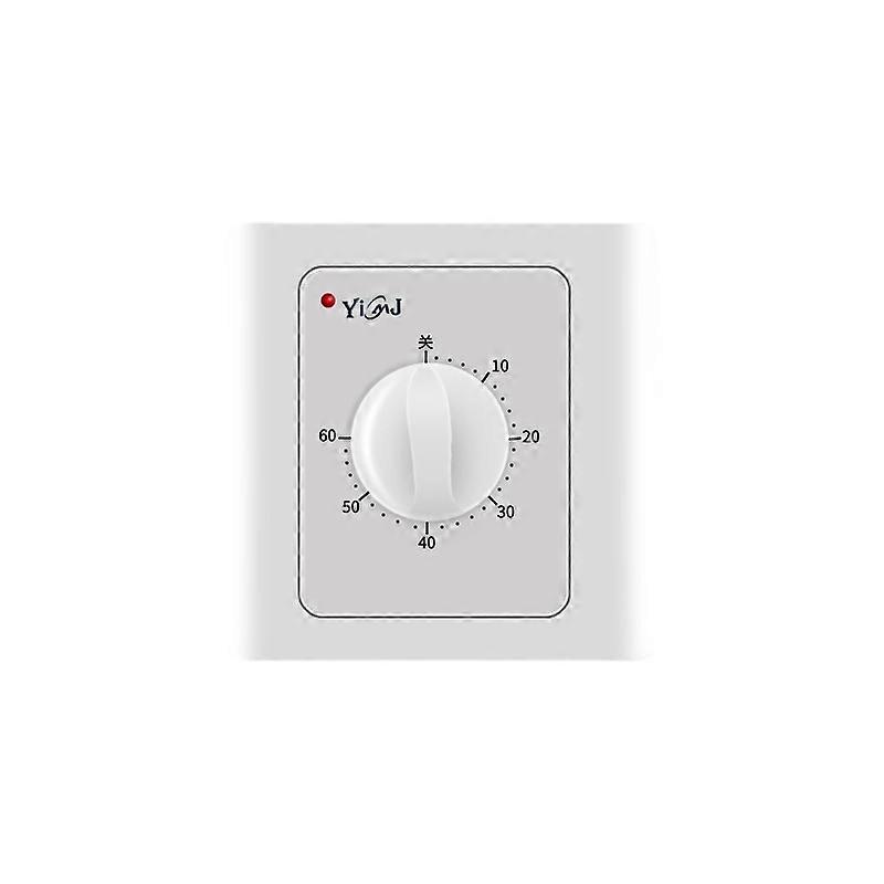 Indoor Mechanical Daily Timer Socket Digital Time Plug 30Min Electric Countdown Switch Timer Control for Home AC 220V 10A White,2024 Ping
