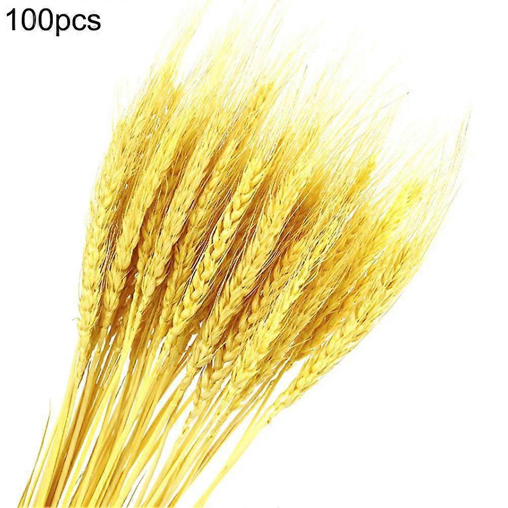 100PCS φυσική αποξηραμένη διακόσμηση σπιτιών γάμου λουλουδιών σίτου/καλαμιών λουλουδιών, 100% νέα