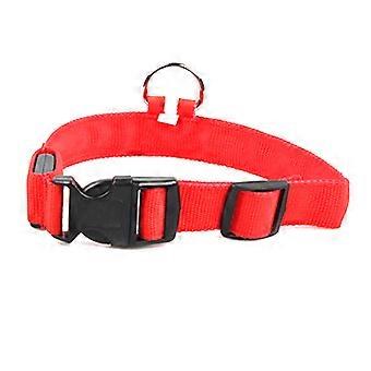 Vielseitiges Hundehalsband, wasserdichte und rostfreie Metallbeschläge sorgen für dauerhafte Leistung, perfekt für Hunde, die es lieben, bei jedem Wetter zu spielen