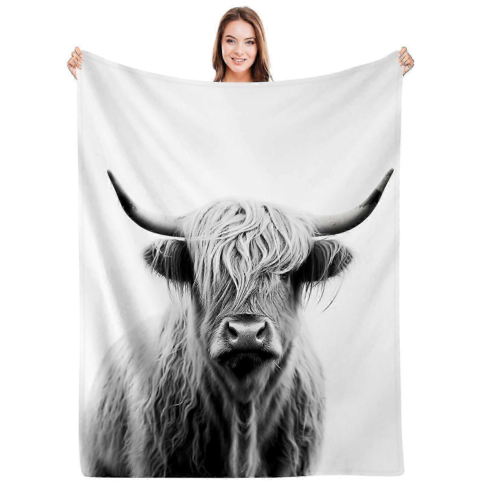 Couch and Bed Blanket 60x80