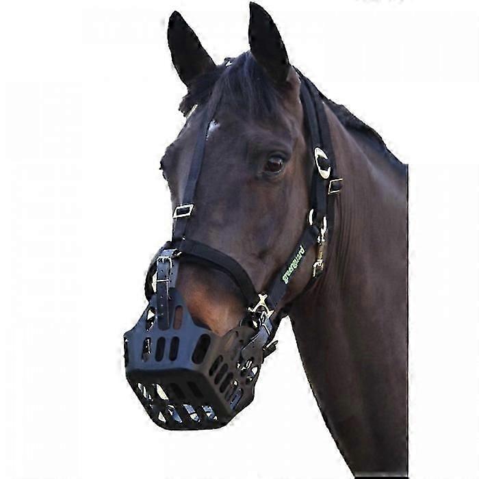 Πράσινο άλογο φρουράς headcollar