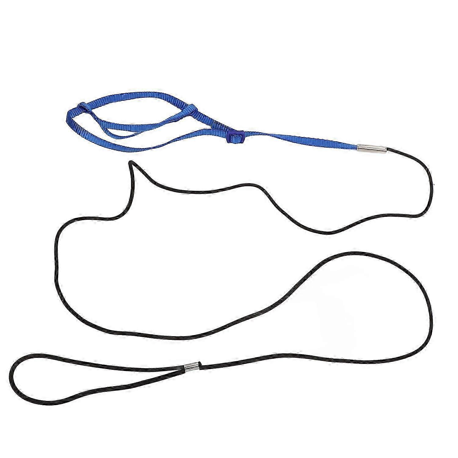 Parrot Harness Leash Adjustable Bird Flying Harness Traction Rope with Hook for Birds ParrotsRoyalbl