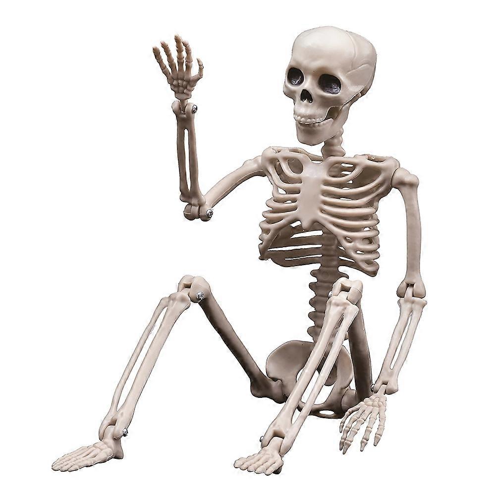 Halloween Skeletons Decorations, Posable Plastic Skeleton, Full Body Skeleton with Movable Joints