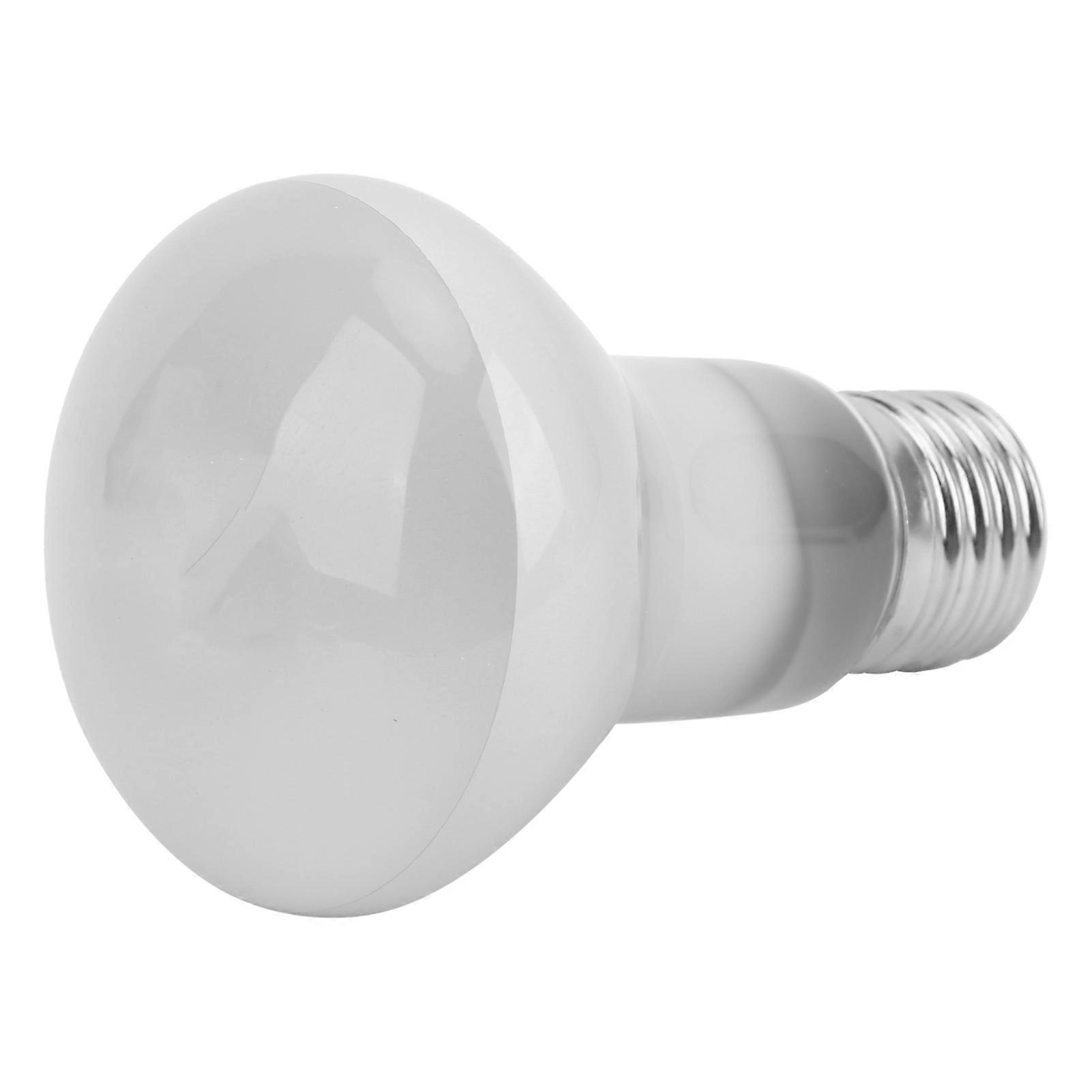 E27 Reptile Heat Lamp UVA Heat DayLight Bulbs for Tortoise Reptiles Crawling Pet70W 220V