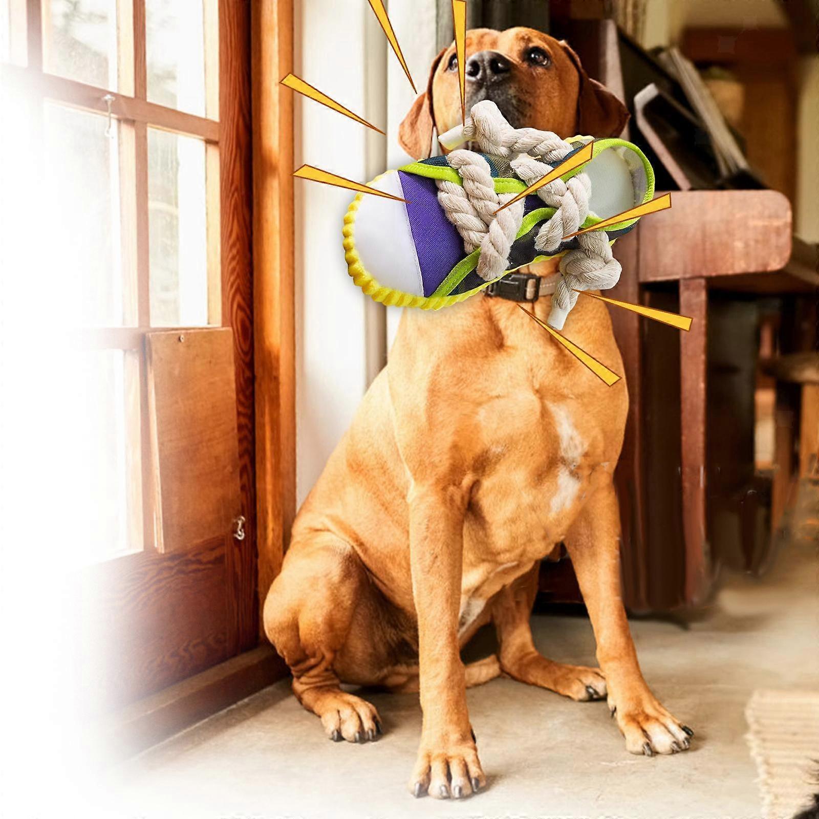 Dog Bite Tug Toy Squeaky Exercise Training for Small and Medium Large Dog