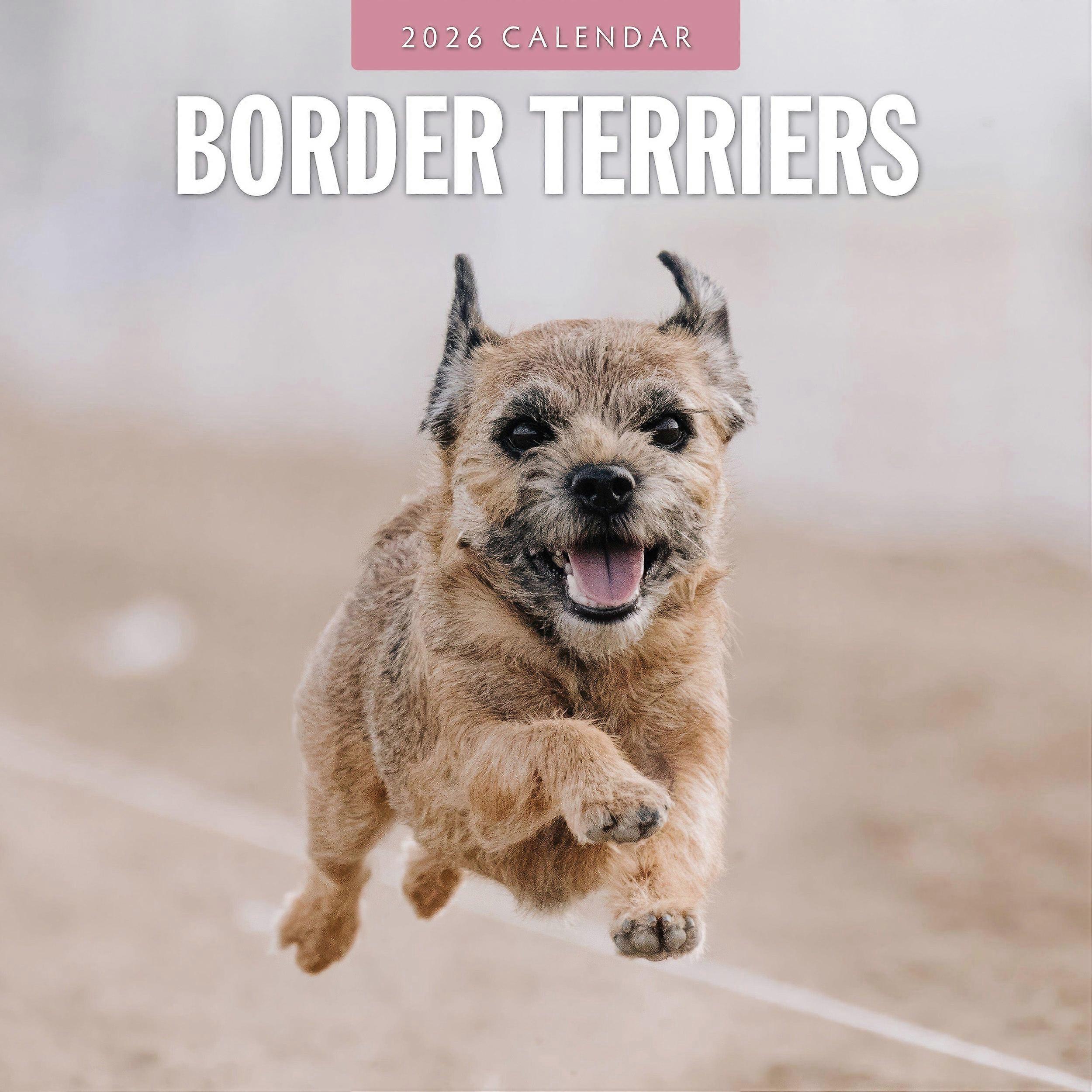 Red Robin Border Terrier Calendar 2026