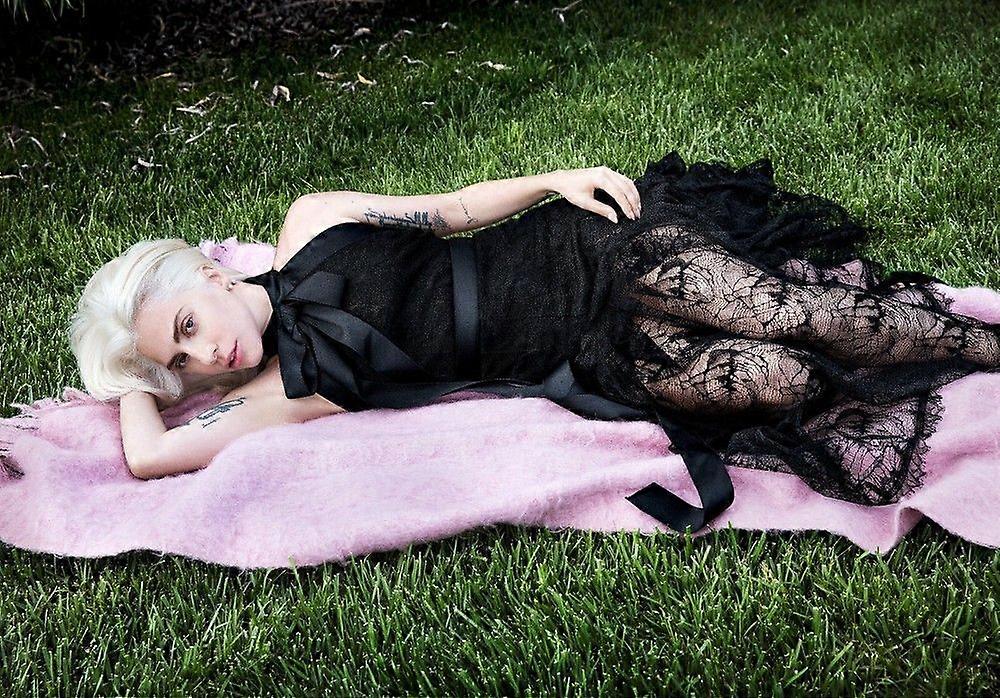 Lady Gaga Jigsaw Puzzle Brain Teaser EB 7421