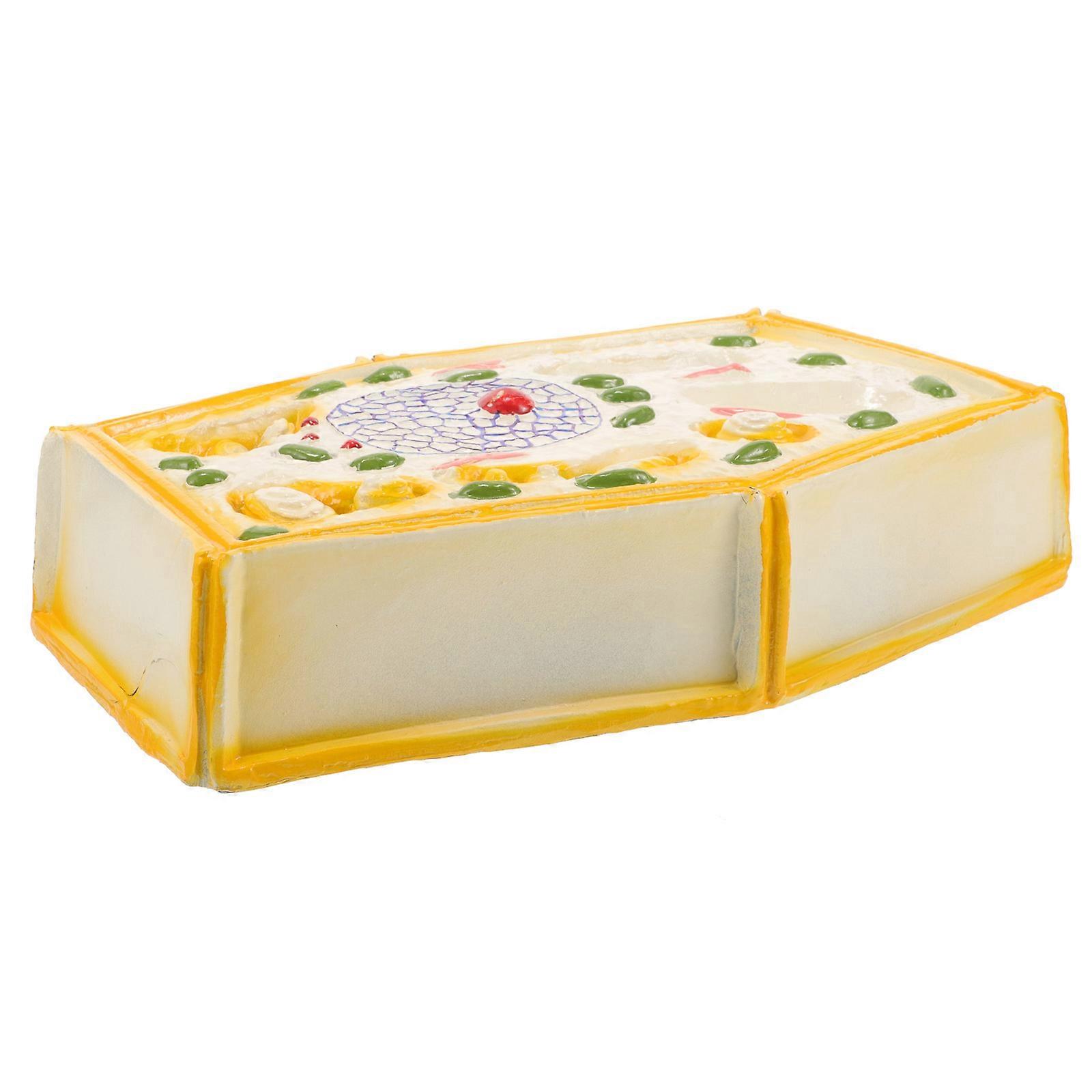 Educational Plant Cell Model for Teaching Use with Assorted Color Design