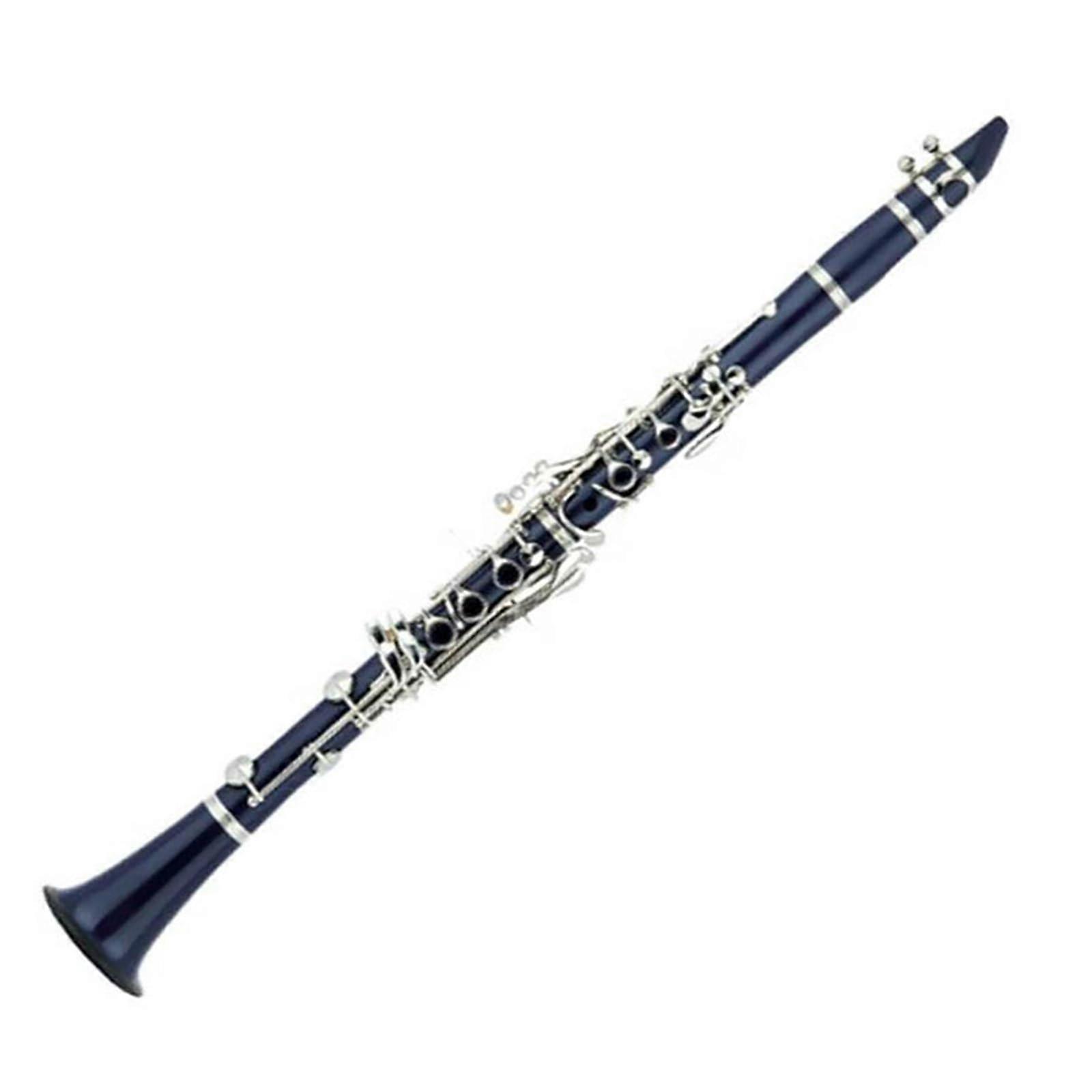 Bb Clarinet for Beginners with Ergonomic Key Design and Bright Stable Sound, ABS Student Model