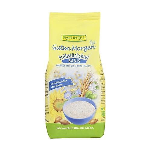 Oat porridge basis 500 g