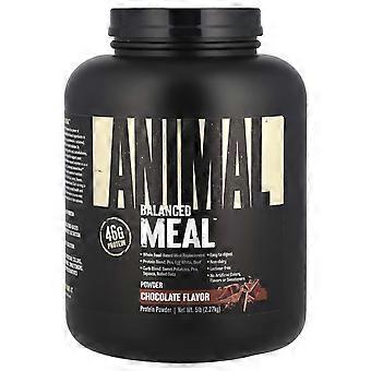 Animal, Balanced Meal™, Poudre de protéines, Chocolat, 5 lb (2,27 kg)