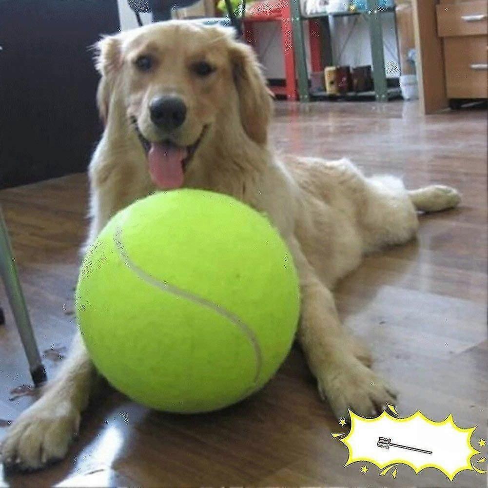 Dog Tennis Ball