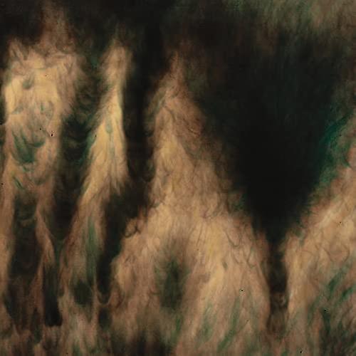 William Basinski - Klagesange [CD]